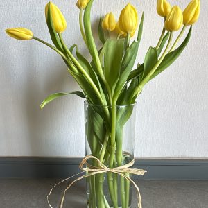 Tulipanes