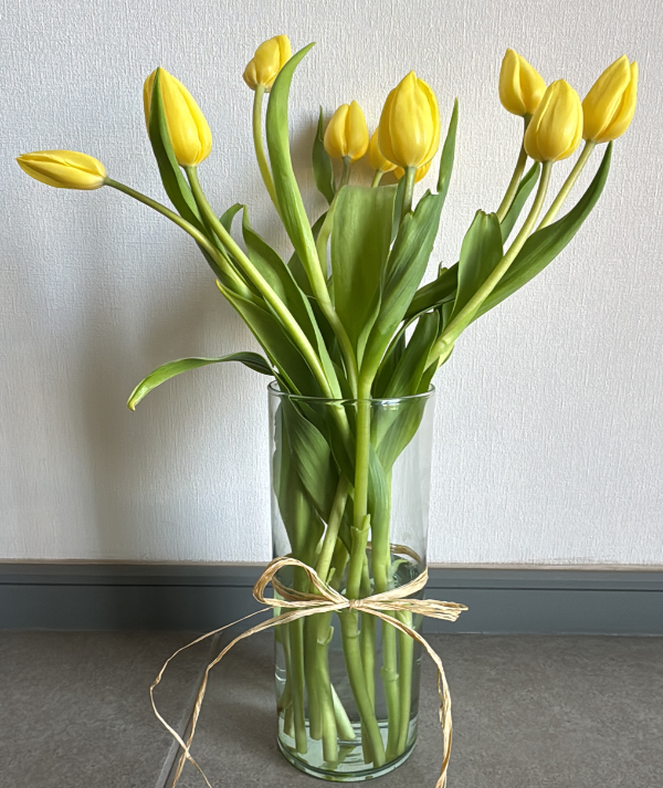 Tulipanes
