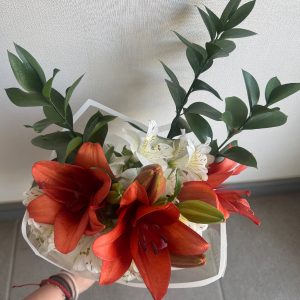 Liliums